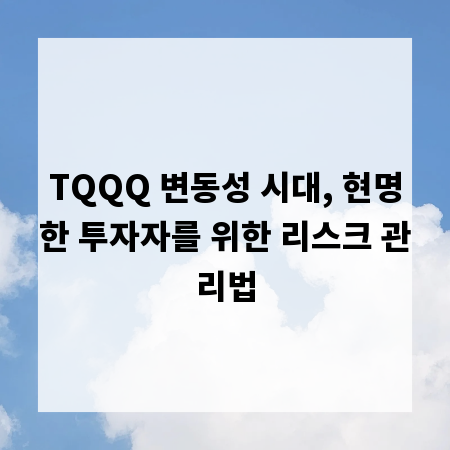 TQQQ 변동성 시대, 현명한 투자자를 위한 리스크 관리법