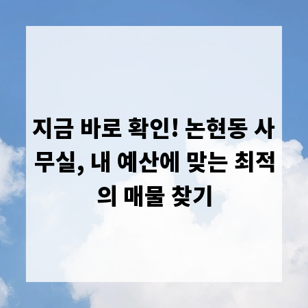 지금 바로 확인! 논현동 사무실, 내 예산에 맞는 최적의 매물 찾기