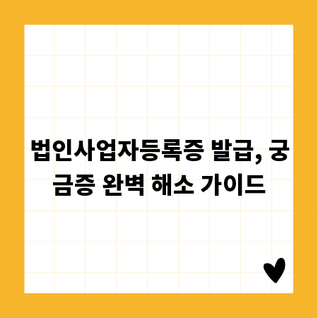 법인사업자등록증 발급, 궁금증 완벽 해소 가이드