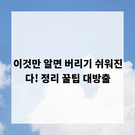 이것만 알면 버리기 쉬워진다! 정리 꿀팁 대방출