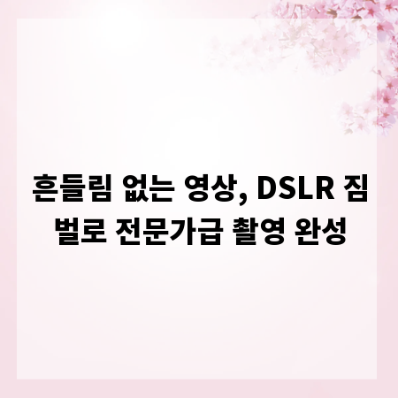 흔들림 없는 영상, DSLR 짐벌로 전문가급 촬영 완성