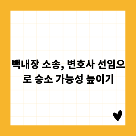 백내장 소송, 변호사 선임으로 승소 가능성 높이기