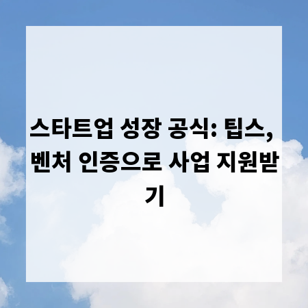 스타트업 성장 공식: 팁스, 벤처 인증으로 사업 지원받기