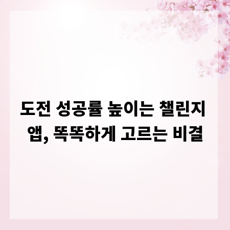 도전 성공률 높이는 챌린지 앱, 똑똑하게 고르는 비결