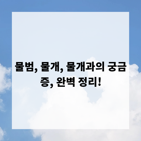 물범, 물개, 물개과의 궁금증, 완벽 정리!