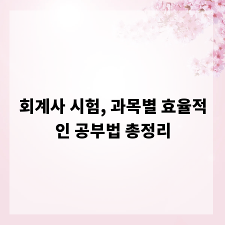 회계사 시험, 과목별 효율적인 공부법 총정리