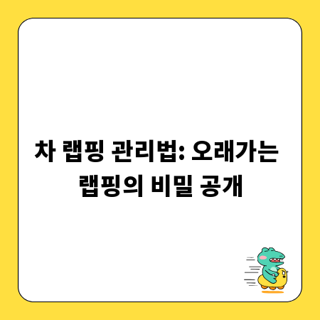차 랩핑 관리법: 오래가는 랩핑의 비밀 공개