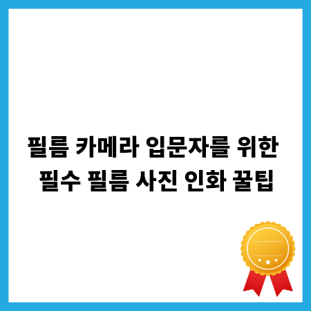 필름 카메라 입문자를 위한 필수 필름 사진 인화 꿀팁