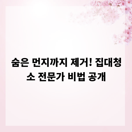 숨은 먼지까지 제거! 집대청소 전문가 비법 공개