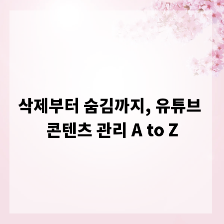 삭제부터 숨김까지, 유튜브 콘텐츠 관리 A to Z