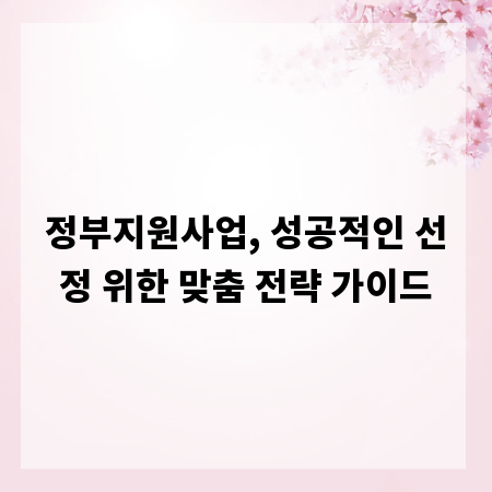 정부지원사업, 성공적인 선정 위한 맞춤 전략 가이드
