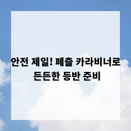 안전 제일! 페츨 카라비너로 든든한 등반 준비