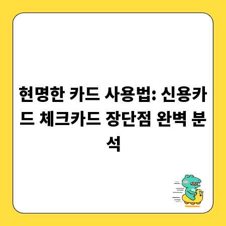 현명한 카드 사용법: 신용카드 체크카드 장단점 완벽 분석