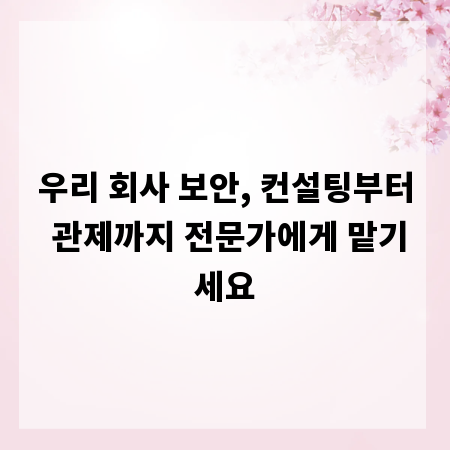 우리 회사 보안, 컨설팅부터 관제까지 전문가에게 맡기세요