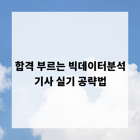 합격 부르는 빅데이터분석기사 실기 공략법