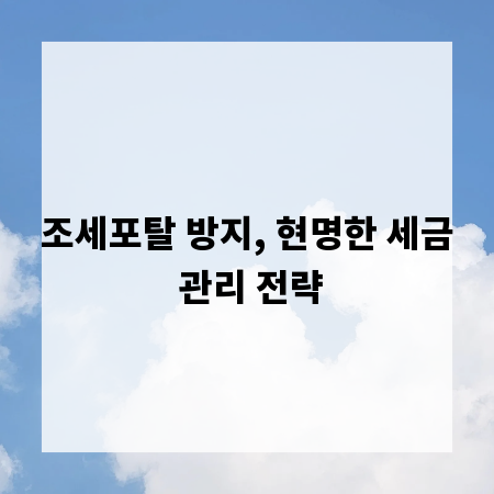 조세포탈 방지, 현명한 세금 관리 전략