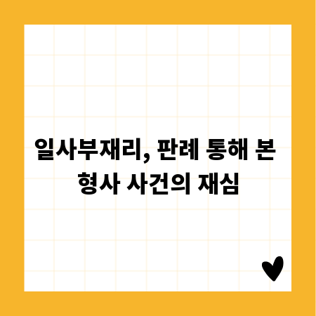 일사부재리, 판례 통해 본 형사 사건의 재심