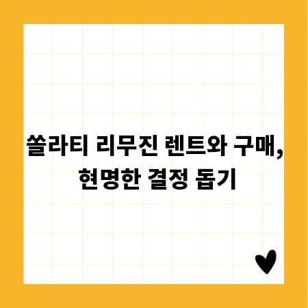 쏠라티 리무진 렌트와 구매, 현명한 결정 돕기