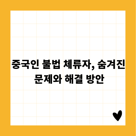 중국인 불법 체류자, 숨겨진 문제와 해결 방안