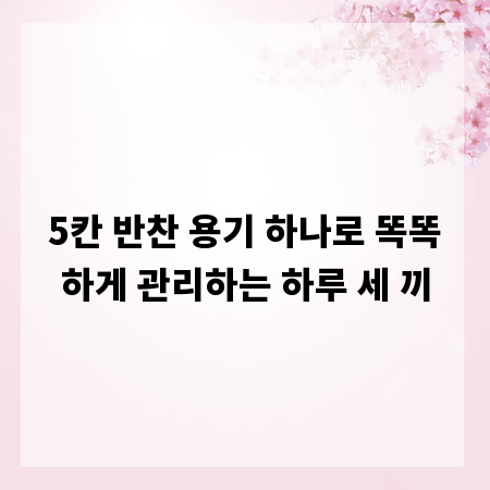 5칸 반찬 용기 하나로 똑똑하게 관리하는 하루 세 끼