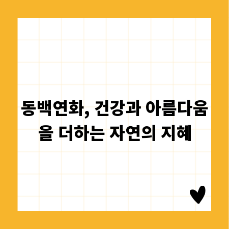 동백연화, 건강과 아름다움을 더하는 자연의 지혜