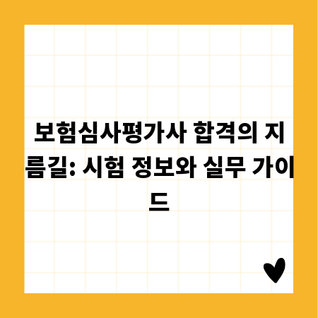 보험심사평가사 합격의 지름길: 시험 정보와 실무 가이드
