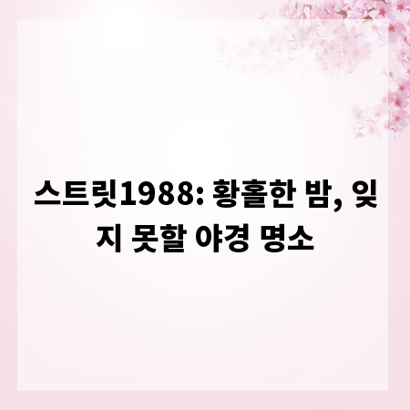 스트릿1988: 황홀한 밤, 잊지 못할 야경 명소