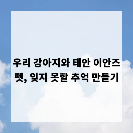 우리 강아지와 태안 이안즈펫, 잊지 못할 추억 만들기