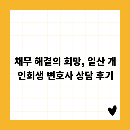채무 해결의 희망, 일산 개인회생 변호사 상담 후기