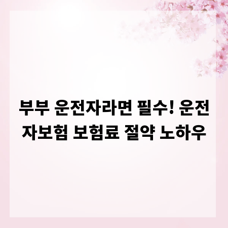 부부 운전자라면 필수! 운전자보험 보험료 절약 노하우