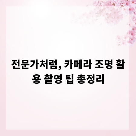 전문가처럼, 카메라 조명 활용 촬영 팁 총정리