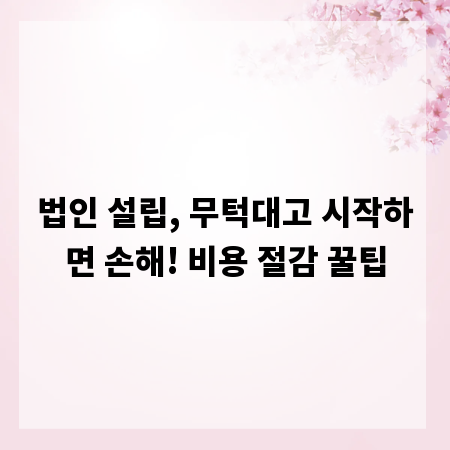 법인 설립, 무턱대고 시작하면 손해! 비용 절감 꿀팁