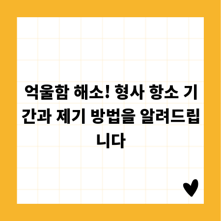 억울함 해소! 형사 항소 기간과 제기 방법을 알려드립니다