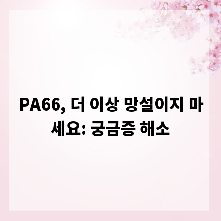 PA66, 더 이상 망설이지 마세요: 궁금증 해소