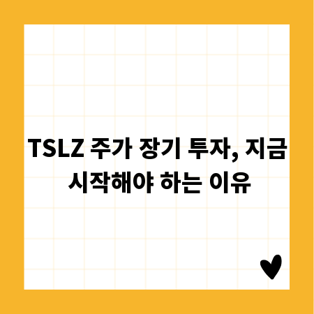 TSLZ 주가 장기 투자, 지금 시작해야 하는 이유