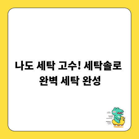 나도 세탁 고수! 세탁솔로 완벽 세탁 완성