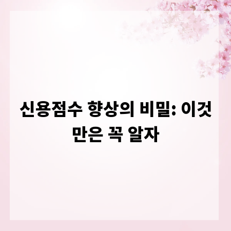 신용점수 향상의 비밀: 이것만은 꼭 알자