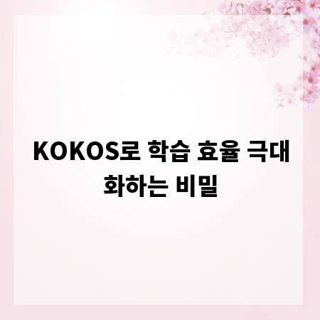 KOKOS로 학습 효율 극대화하는 비밀