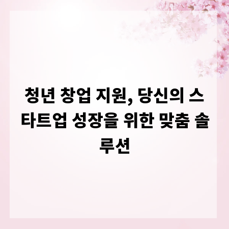 청년 창업 지원, 당신의 스타트업 성장을 위한 맞춤 솔루션