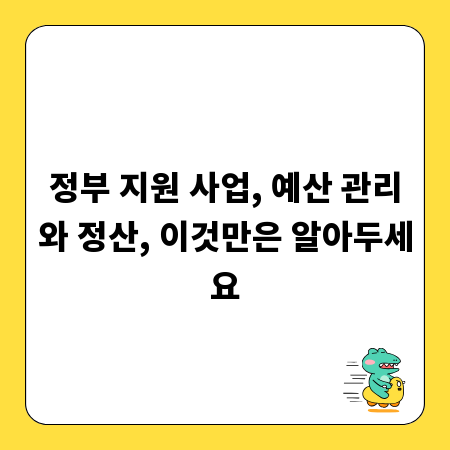 정부 지원 사업, 예산 관리와 정산, 이것만은 알아두세요