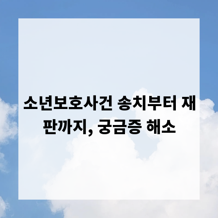 소년보호사건 송치부터 재판까지, 궁금증 해소