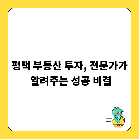 평택 부동산 투자, 전문가가 알려주는 성공 비결