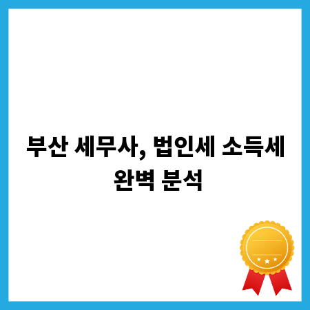 부산 세무사, 법인세 소득세 완벽 분석