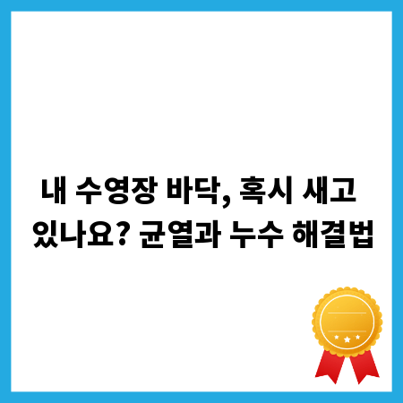 내 수영장 바닥, 혹시 새고 있나요? 균열과 누수 해결법