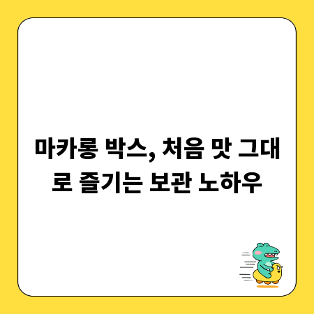 마카롱 박스, 처음 맛 그대로 즐기는 보관 노하우