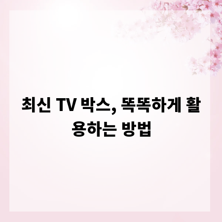 최신 TV 박스, 똑똑하게 활용하는 방법