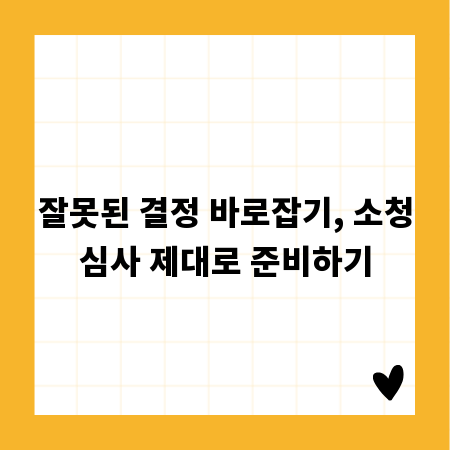 잘못된 결정 바로잡기, 소청심사 제대로 준비하기