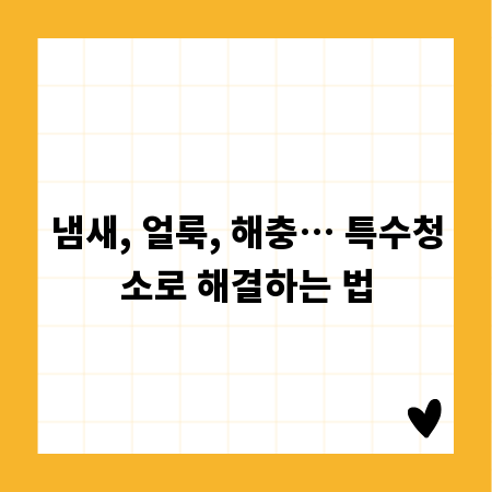 냄새, 얼룩, 해충… 특수청소로 해결하는 법