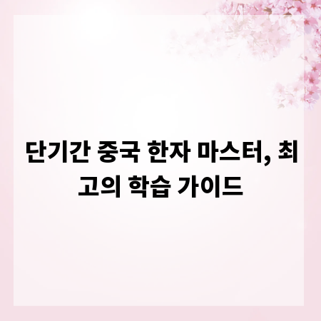 단기간 중국 한자 마스터, 최고의 학습 가이드