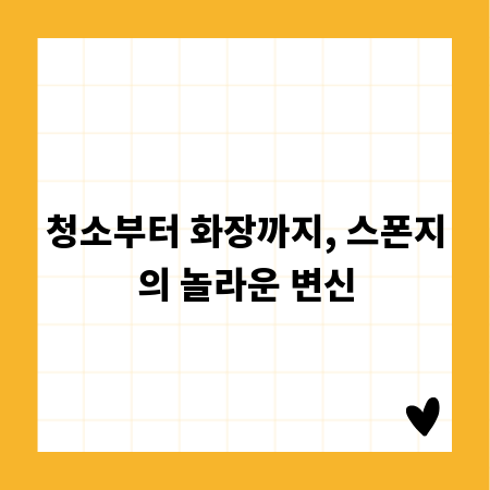 청소부터 화장까지, 스폰지의 놀라운 변신